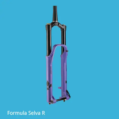 Formula Selva R-Best MTB Forks-07